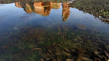 Eine nordische Fels- und Wattlandschaft | © Uwe Nettelmann