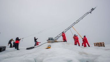 Wissenschaftler bauen einen Messturm ab | © Lianna Nixon