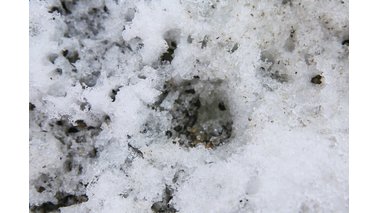 Kleine Steine und Sand zwischen Eis | © Lisa Grosfeld