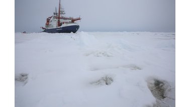 Fußabdrücke im Eis | © Lisa Grosfeld