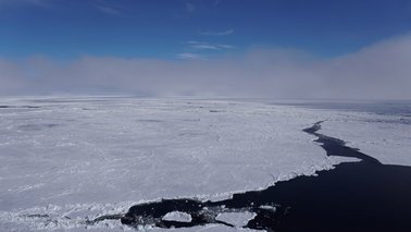 Eine Eisscholle in der Arktis. | © Markus Rex