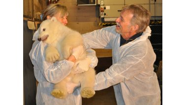 Zwei Personen mit einem Eisbären. | © Zoo am Meer