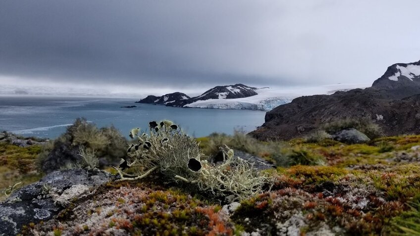 Blick auf die Antarktische Landschaft | © Claudia Colesi