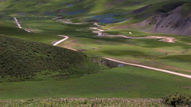 Grasland im Gebirgstal | © Field Museum / Richard H. Ree