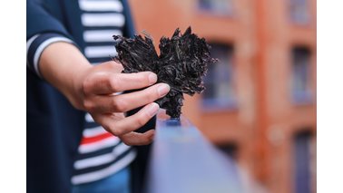 Eine Dame hält ein Herz aus Algen in der Hand. | © Emina Seiffert