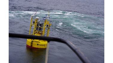 Eine gelbe Boje treibt im Wasser. | © Thomas Viergutz