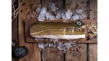 Skrei Fischfielts auf einer Holzplatte